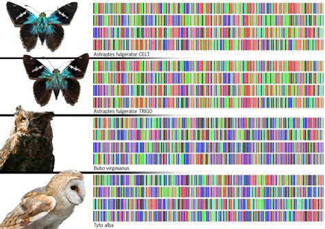 Dna Technology Discovering New Species Yale E360