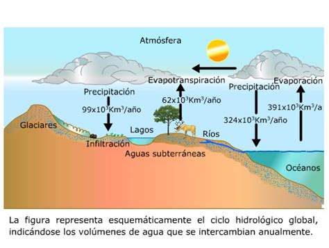 2. Informe en zona litoral-lacustre