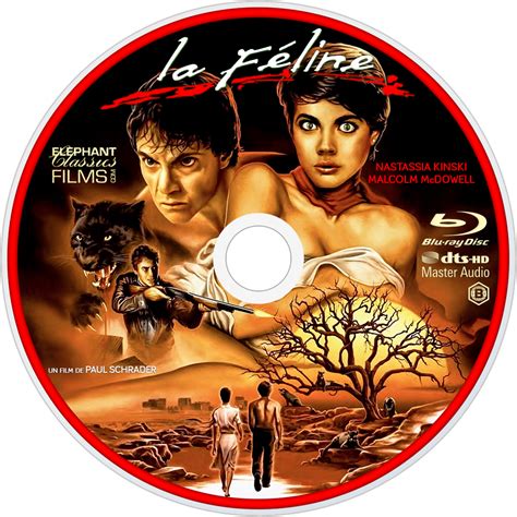 Music discs can be found in dungeons in vanilla minecraft. Cat People | Movie fanart | fanart.tv