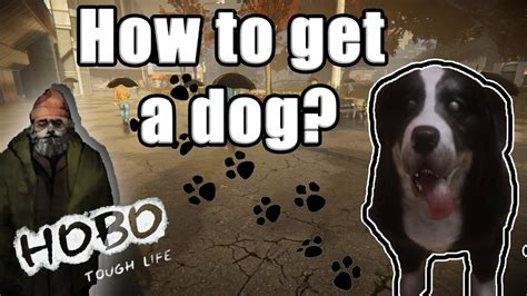How To Get A Dog In Hobo Tough Life Youtube
