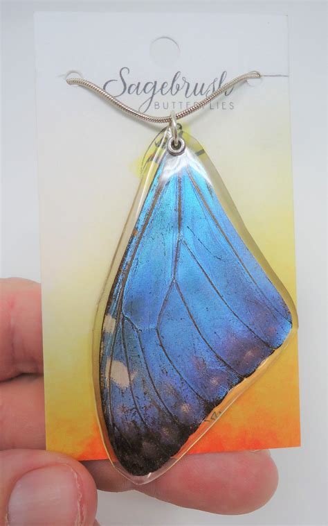 Blue Morpho Real Butterfly Wing Resin Necklace Adonis And Menelaus