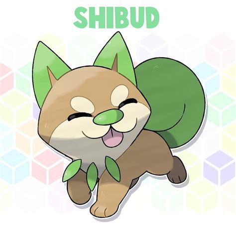 No 001 Shibud The Bush Dog Pokemon Grass — One Of Three Starter