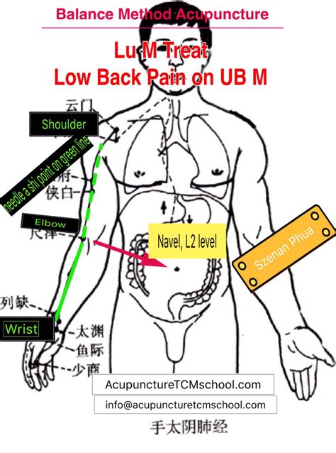 Balance Method Acupuncture Lu Meridian Treat Lower Back Pain On Ub Meridian