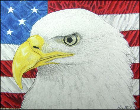 Colored pencil drawing from photo. Eagle and Flag Drawing by Ron Bird