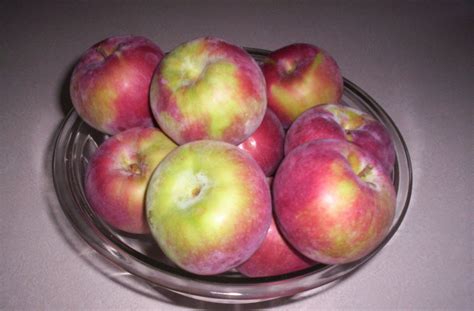 Which Are The Best Apples For Cooking Delishably