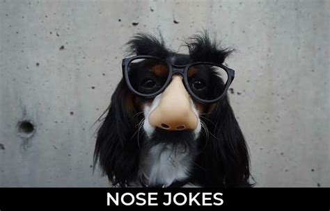 Nose Jokesfaq
