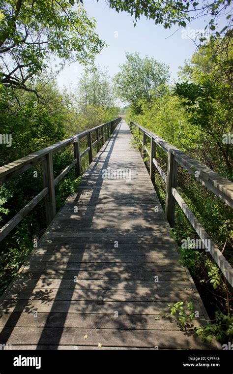 Boardwalk Over A Marsh Area Stock Photo Alamy