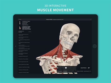 Complete Anatomy ‘21 3d Human Body Atlas 630 Apk Download