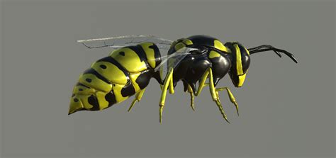 Artstation 3d Wasp Model