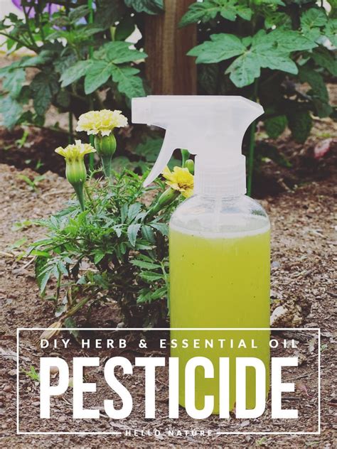 Rid Your Garden Of Unwanted Pests In A Natural Way With This Easy To