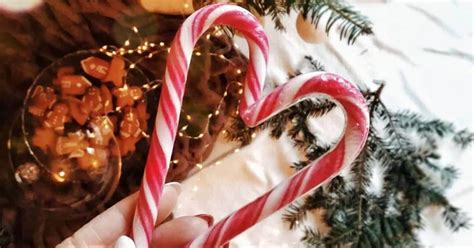 Bring on the holiday cheer with the perfect drink to sip while trimming the tree. Quotes to Use as Captions for Candy Cane Instagram Posts
