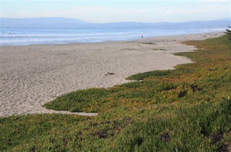 If you want to spend successfully your weekend there's also a function of the weather. Sunset State Beach, Watsonville, CA - California Beaches