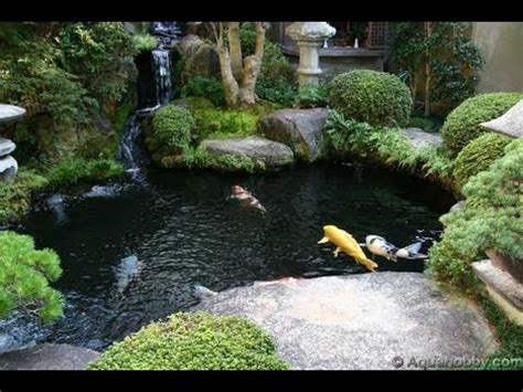 The architecture of the koi pond can have a great effect on the health and well being of the koi. Beautiful Koi Pond Design Ideas - YouTube
