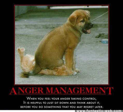 Anger Management Funny Stuff Pinterest