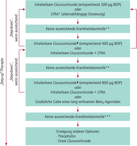 Asthma Bronchiale Bei Kindern Heftarchiv Amt