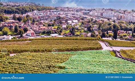 Swiss Agriculture Stock Image Image Of Architecture 213812893