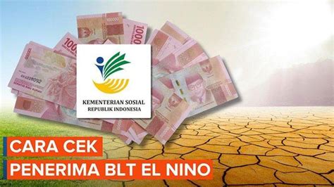 Bansos Pengganti El Nino Segera Cair Rp Ribu Bisa Diambil Cek