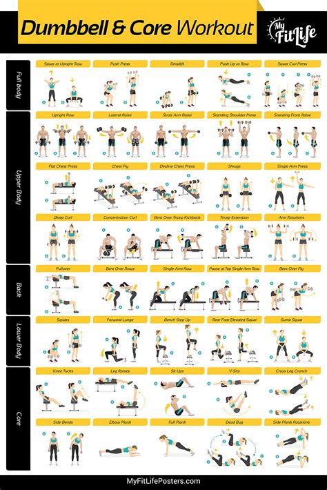 Buy Gym Dumbbell And Core Workout Laminated Illustrated Guide With Exercises For Full Body
