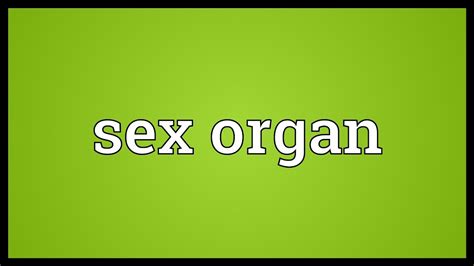 Sex Organ Meaning Youtube
