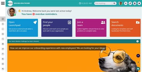 Modern Intranet Must Have Intranet Features And Best Examples Of