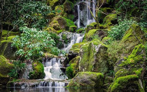 The Japanese Gardens Parks Waterfalls Gardens Nature Hd Wallpaper