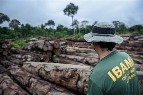 MP que reduz áreas de proteção ambiental na Amazônia deve ir a Plenário