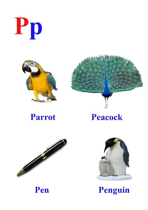 Easy Words That Start With P