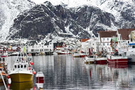 Invierno En Las Islas Lofoten Auroras Boreales Y Bacalao El Guisante