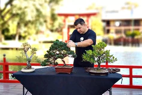 El maestro del bonsái tiene en su casa y asegura que su técnica es antiestrés
