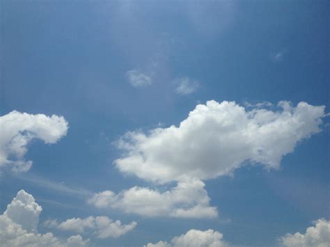 The weather in Washington DC the moment the game was postponed : r/phillies