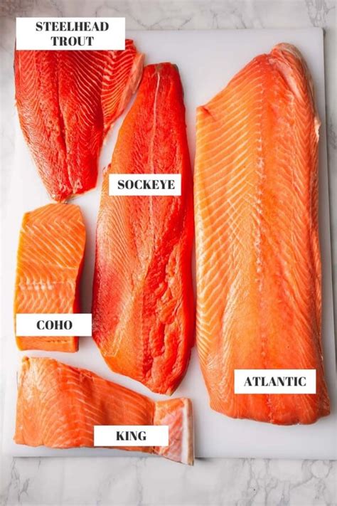 Salmon Varieties A Complete Guide To Salmon Sweet And Savory