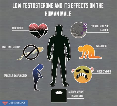Low Testosterone And Its Effects On The Human Male Genemedics