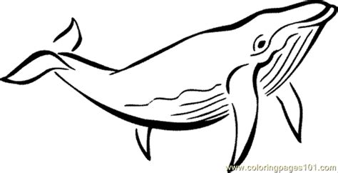 Ocean Animal Coloring Page 03 Coloring Page Free Whale