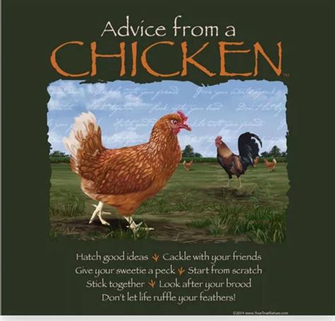 The 25 Best Chicken Quotes Ideas On Pinterest Chicken Signs Pallet Signs And Diy Signs