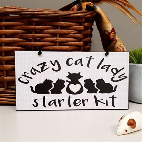 Funny Crazy Cat Lady Starter Kit Handmade Cat Plaque Cat Etsy