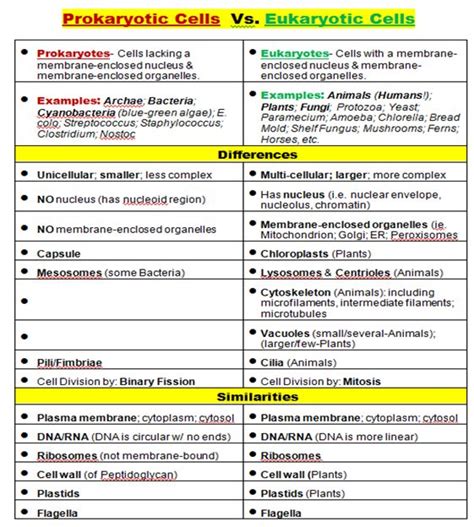 Pin on College-Academics