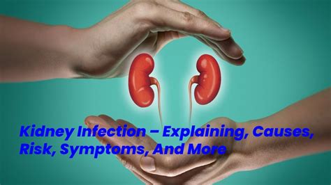 Kidney Infection Explaining Causes Risk Symptoms And More