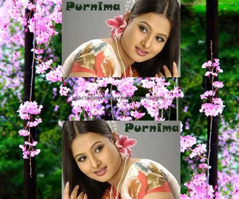 Bd Actress Wallpaper Purnima Most Beautiful Dhallywood Actress