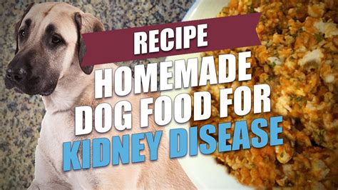 Some patients may also need. Homemade Dog Food for Kidney Disease Recipe (Simple and ...