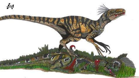 Jp Raptor Vs Dilophosaurus By Rexbiteandspinopark On Deviantart