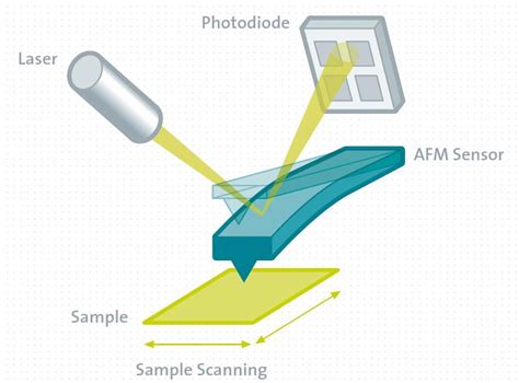 Atomic Force Microscopy Afm Witec Raman Imaging Oxford Instruments