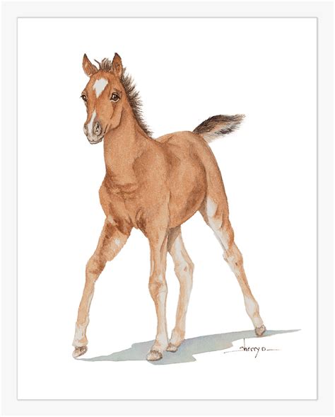 Clip Art Baby Horse Baby Horse Png Transparent Png Transparent Png