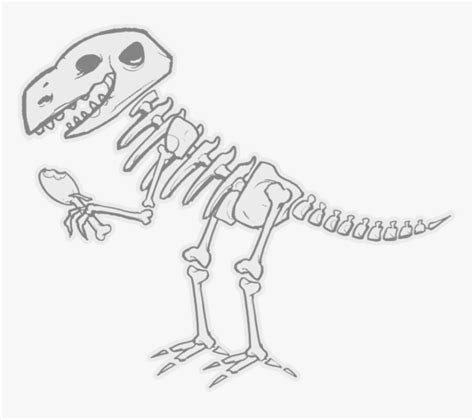 Dinosaur Bones Clipart Dinosaur Skeleton Clipart Png Transparent Png