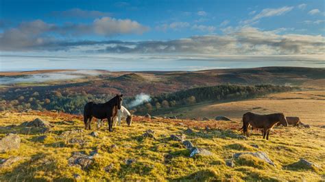Culture Trips Guide To Dartmoor National Park