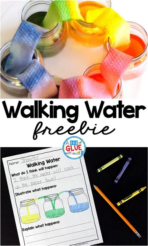 Walking Water Experiment Worksheet