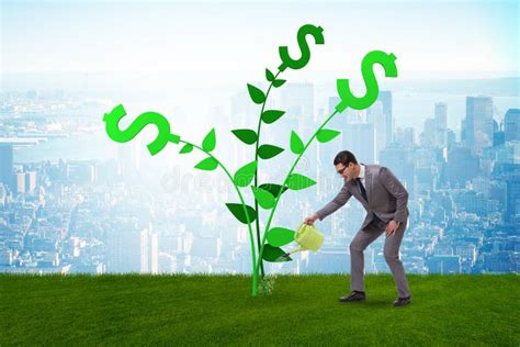 Money Tree Concept With Businessman Watering Stock Photo Image Of