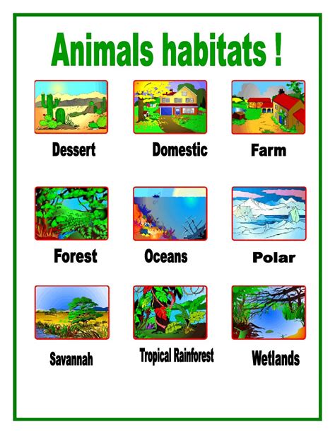 Animal Habitats For Kids By Adevpro Issuu