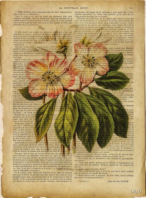 Botanical Print On Old Book Page Flowers By Lily D Redbubble