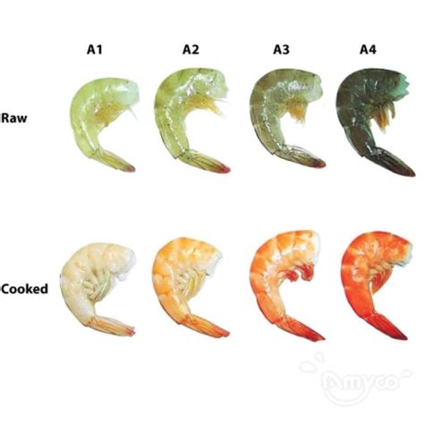 China Vannamei Shrimp Color Grade Amyco Group
