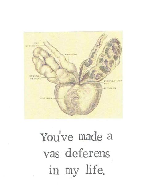 a vas deferens in my life funny vasectomy card medical humor pun love cards for him funny